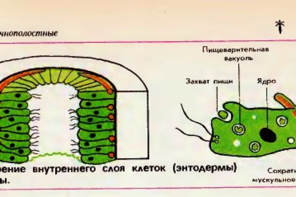 Что такое кракен в даркнете