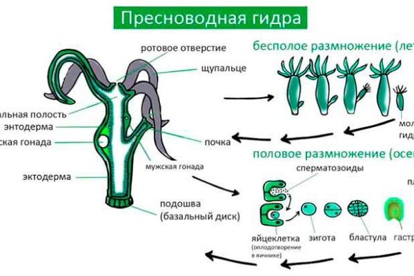 Кракен перейти