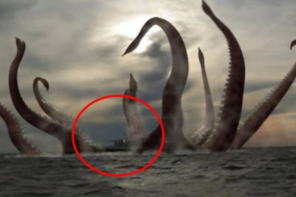 Kraken россия