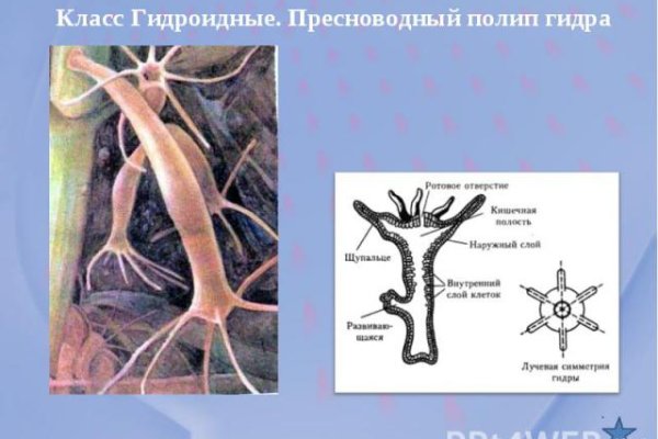 Кракен актуальная ссылка тор