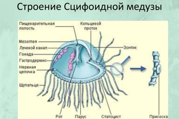 Kraken официальный сайт ссылка через tor