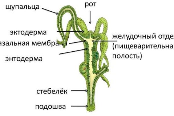 Кракен ворует аккаунты