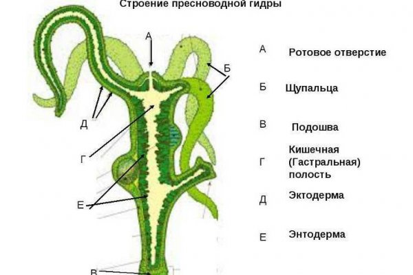 Кракен через браузер